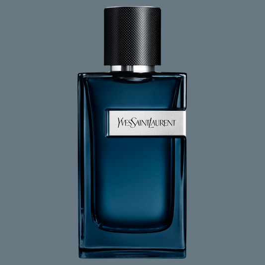 YSL Y EDP Intense
